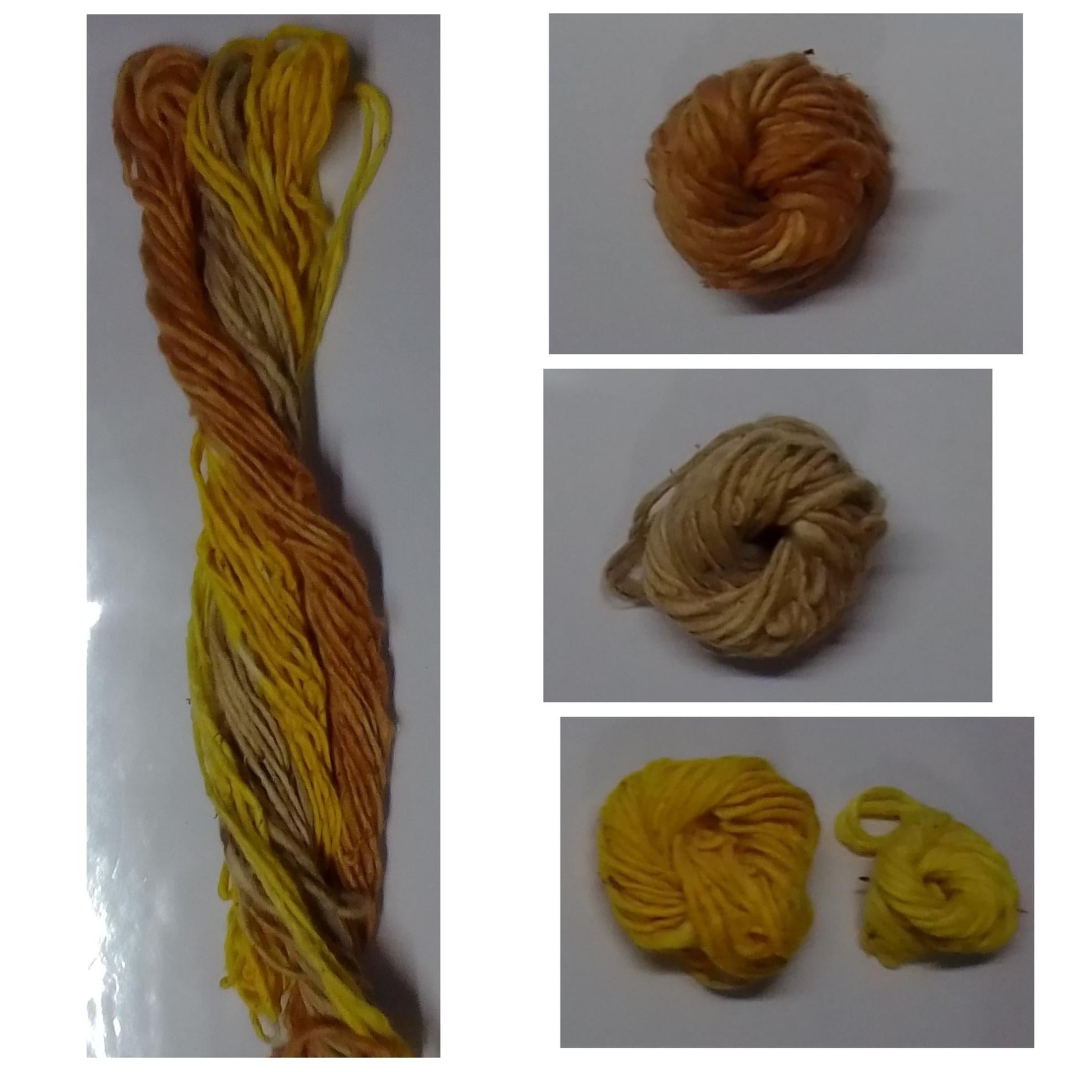 Teñido con cebolla, eucalipto y cúrcuma - image 3 - student project