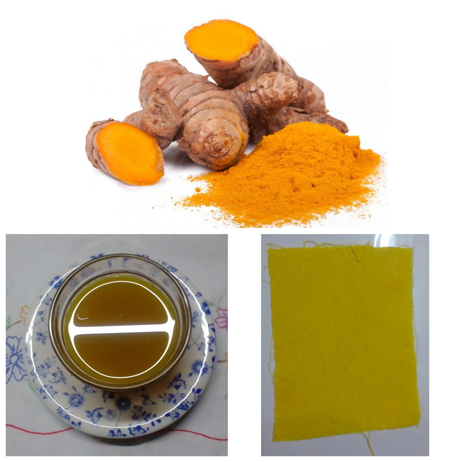 Teñido con cebolla, eucalipto y cúrcuma - image 2 - student project