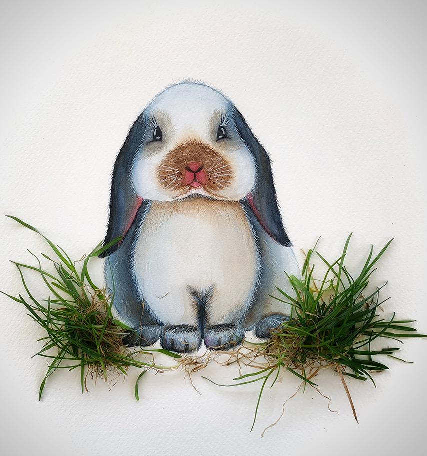 Bunny - image 1 - student project