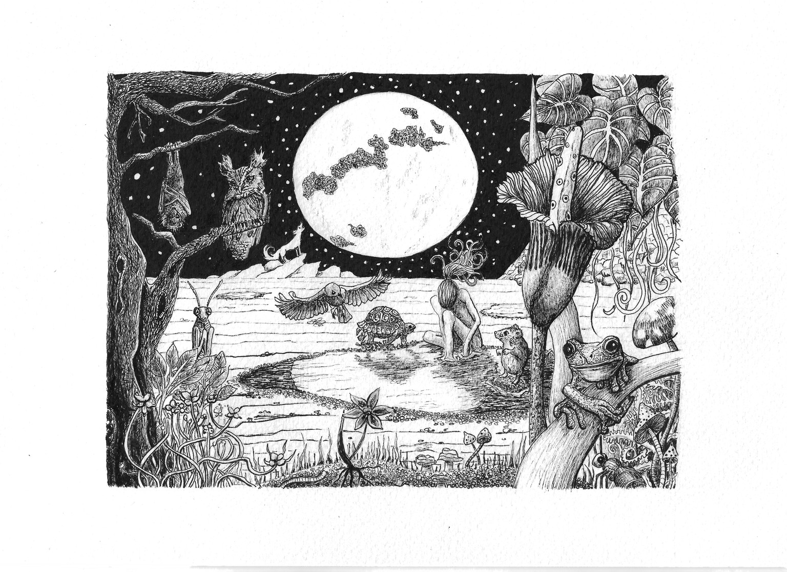 Moon in a puddle - image 1 - student project