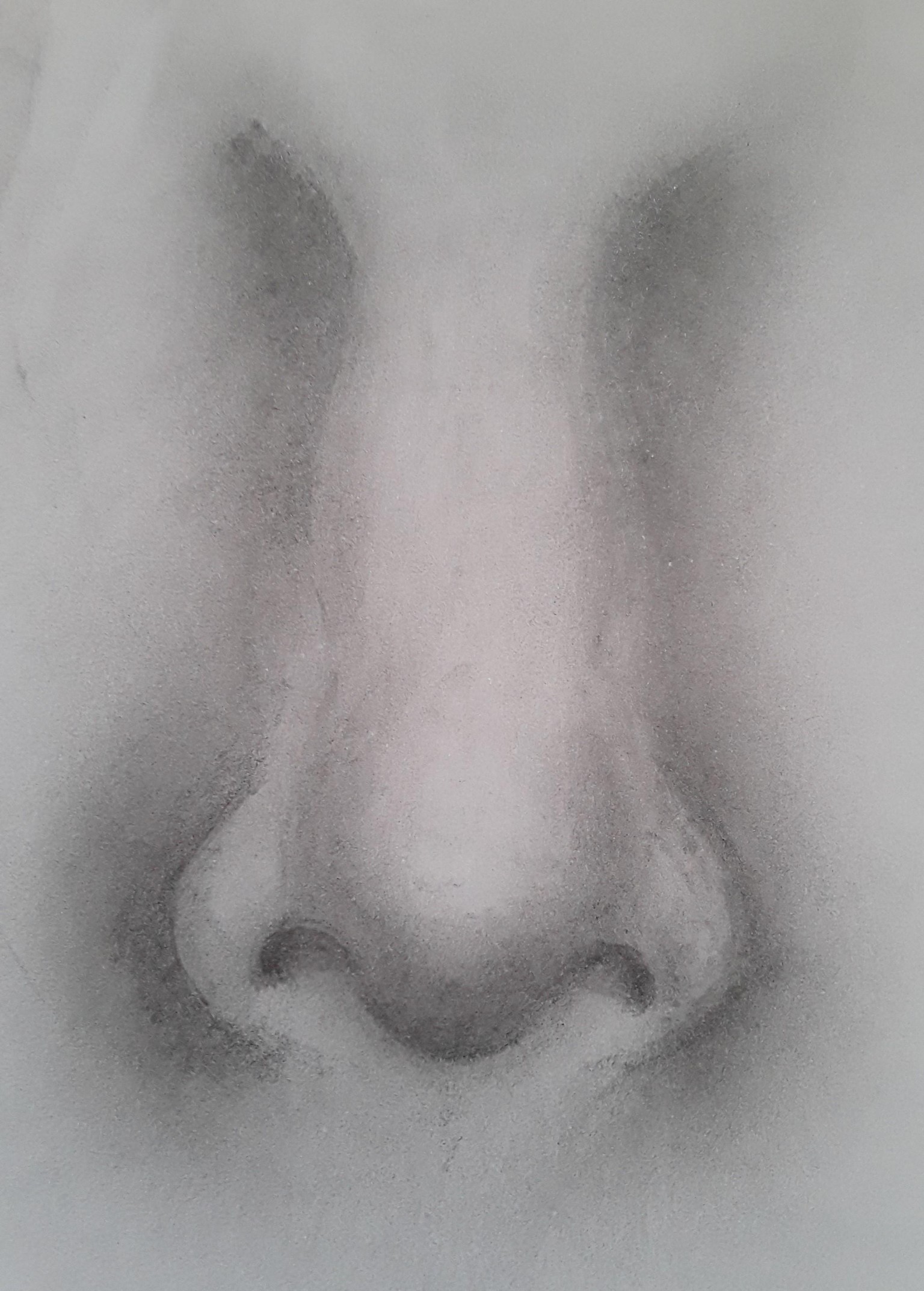 Shading Facial Features - image 3 - student project