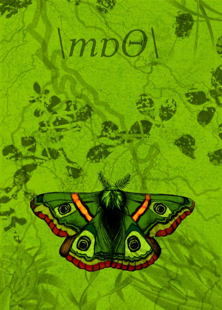 Moth - image 1 - student project