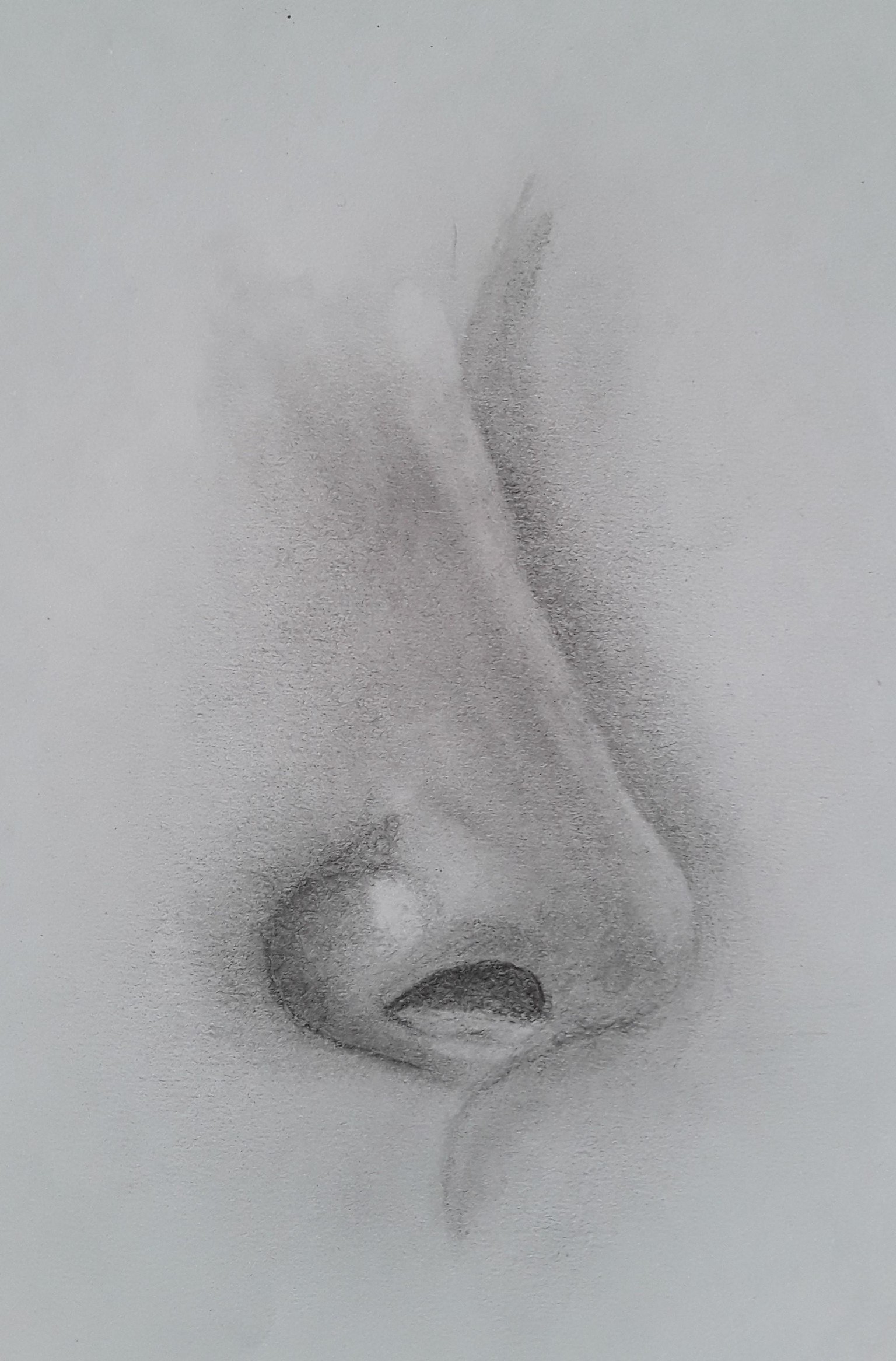 Shading Facial Features - image 2 - student project