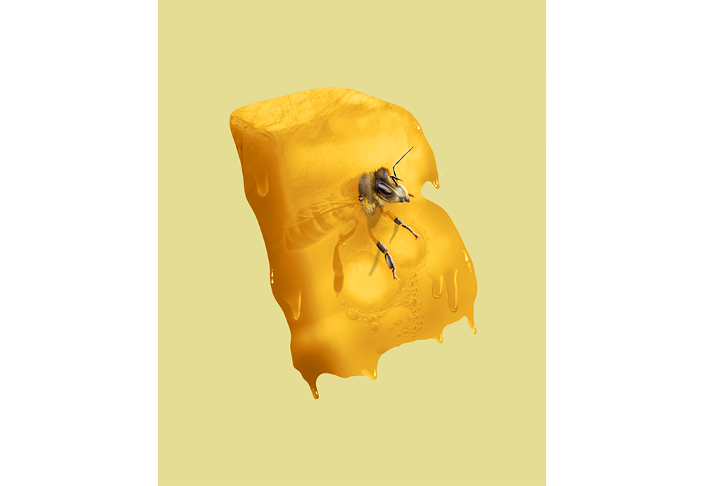 Yellow Belt - image 1 - student project