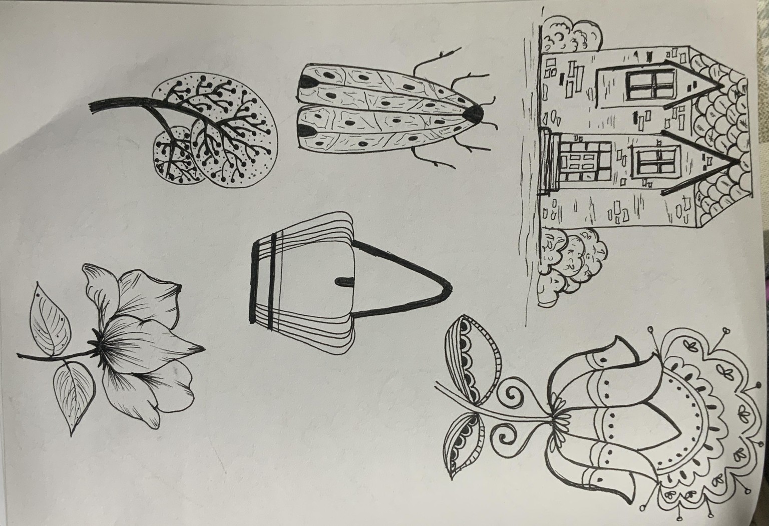 Build your own doodle library - image 5 - student project