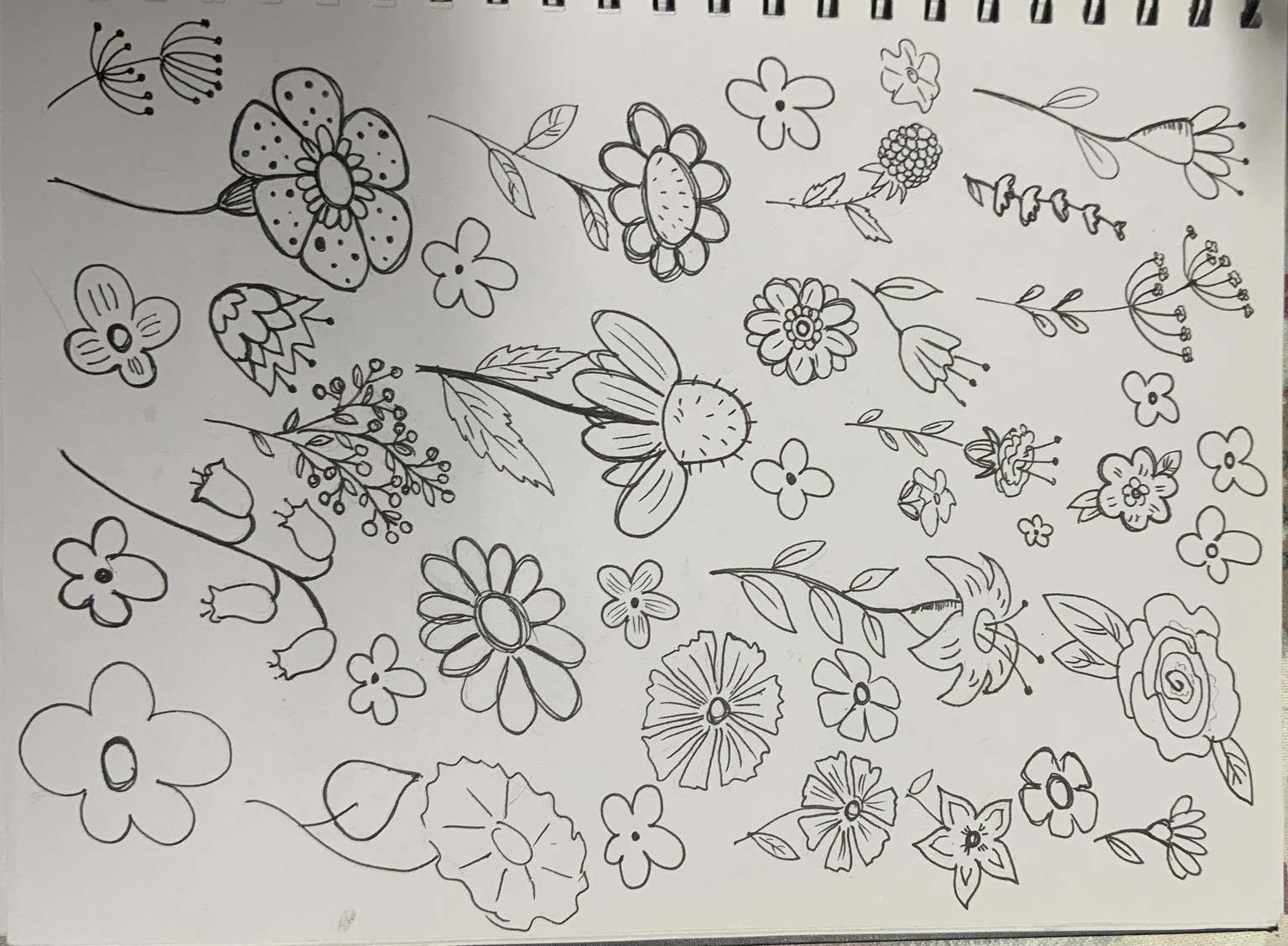 Build your own doodle library - image 6 - student project