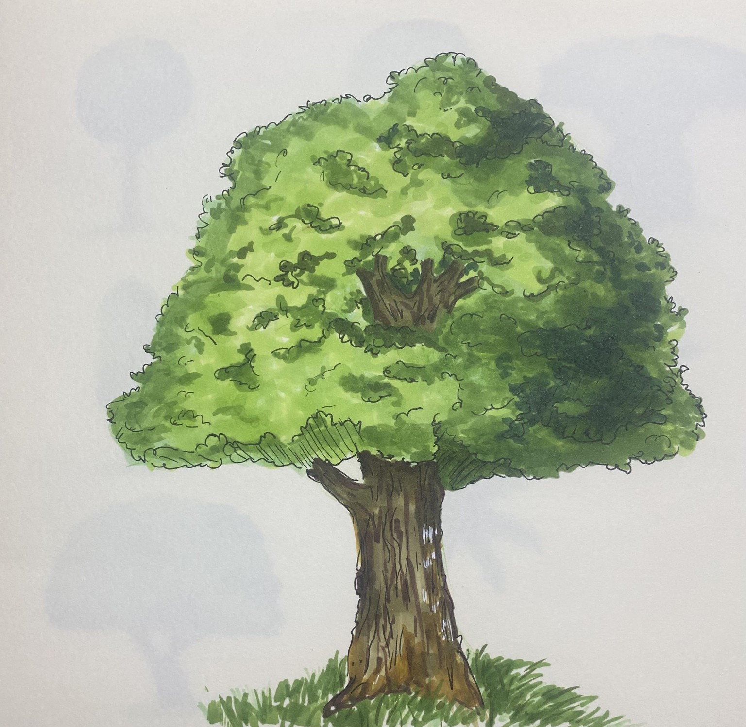 Drawing Tree with Alcohol Markers - image 2 - student project