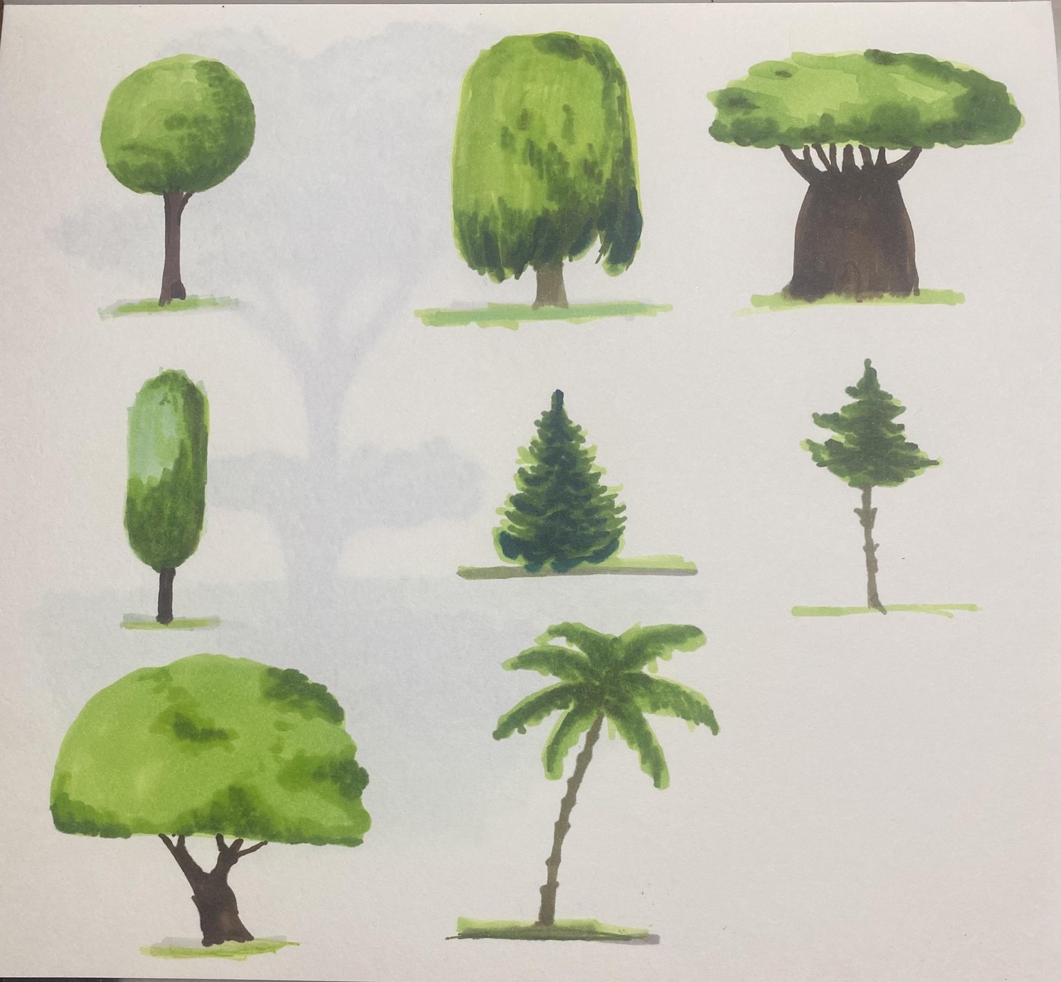 Drawing Tree with Alcohol Markers - image 1 - student project