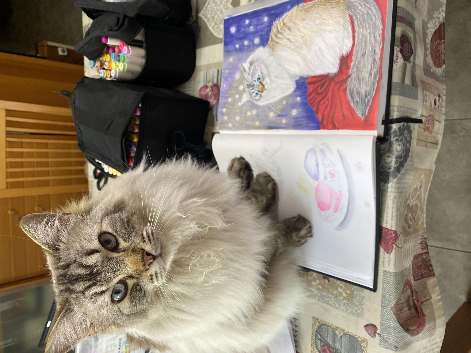 Drawing pets with markers - image 1 - student project