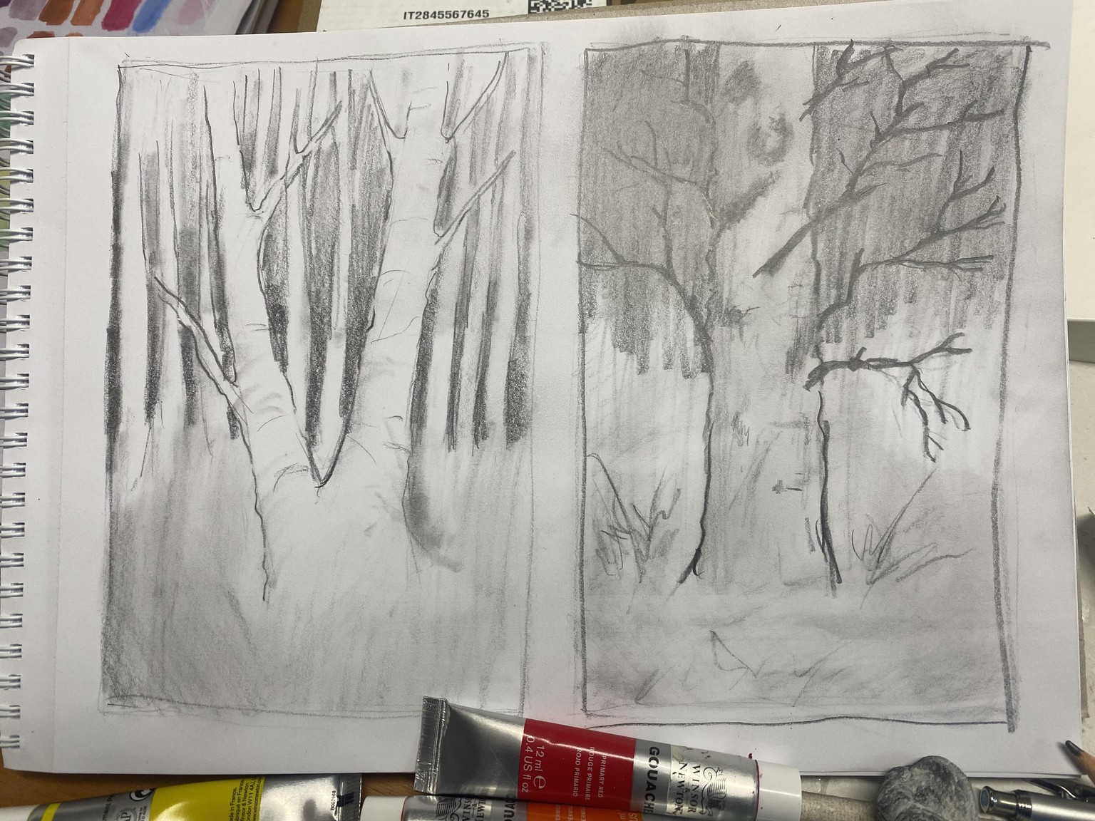 Gouache landscape: Trees - image 2 - student project