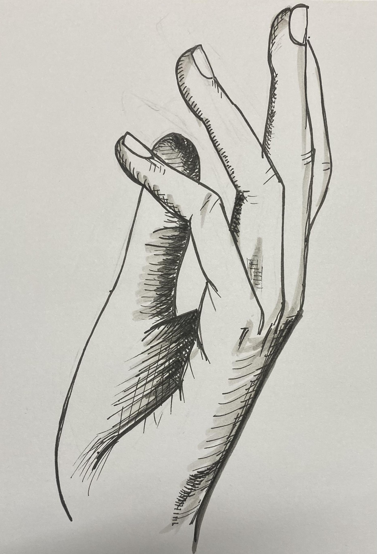 Improve your Ink drawing with hatching Technics - image 6 - student project