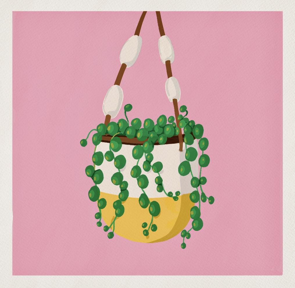 Stylized Houseplant - image 1 - student project