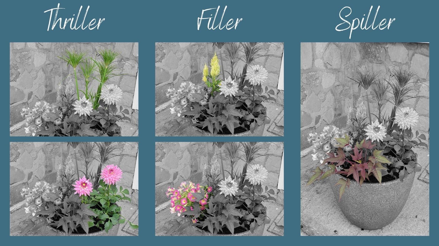 Front Porch Summer Planters - image 3 - student project