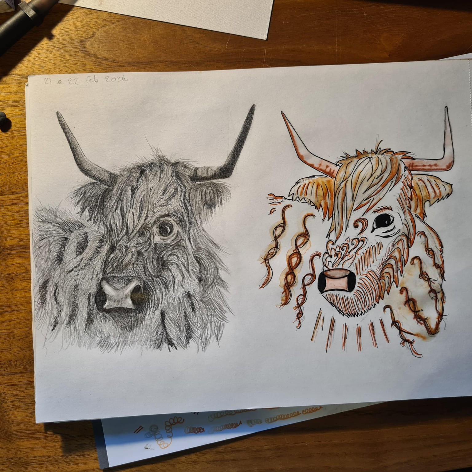 Highland cow - image 3 - student project