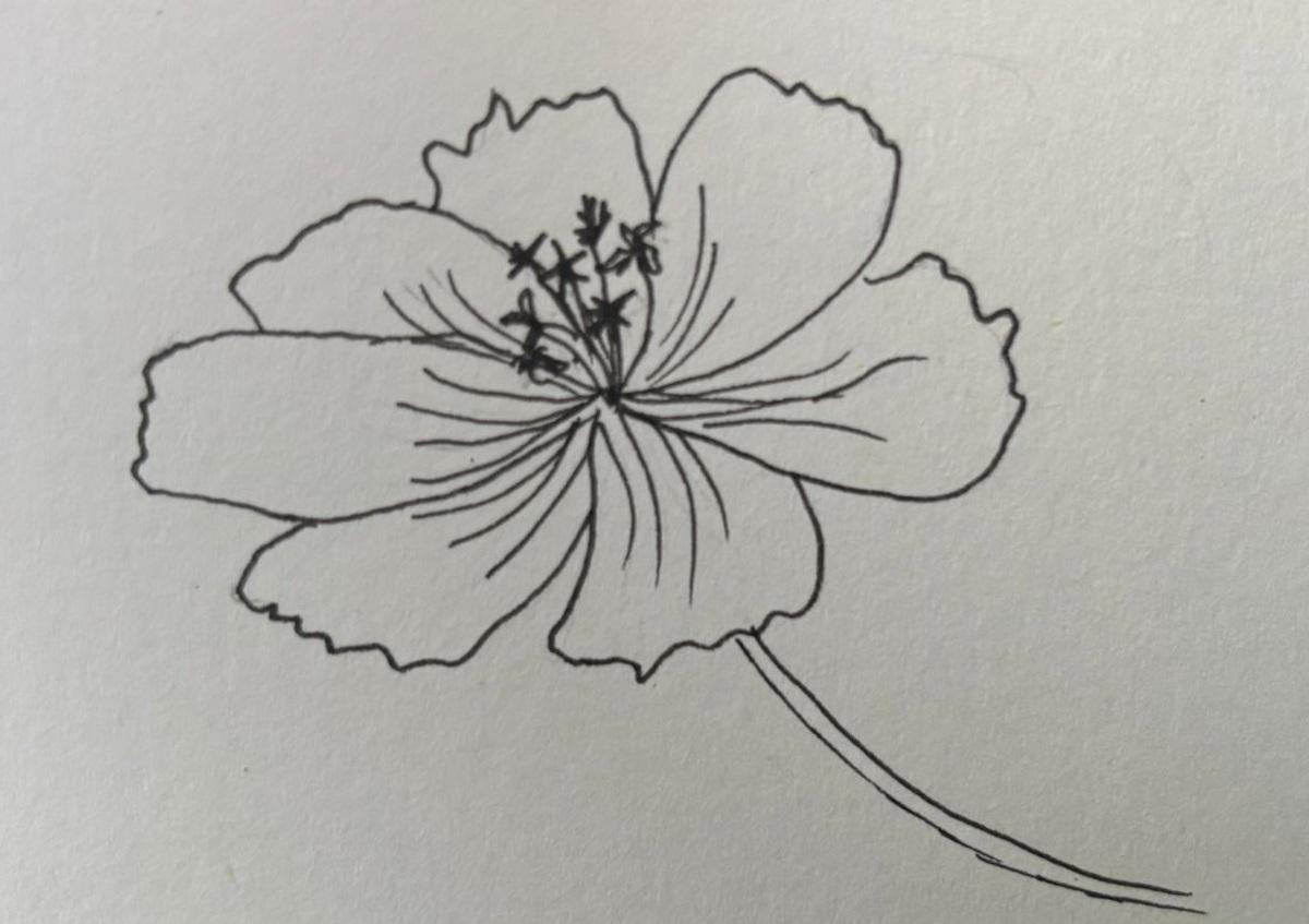 Flowers Theme - image 4 - student project