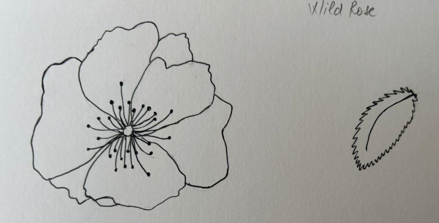 Flowers Theme - image 1 - student project
