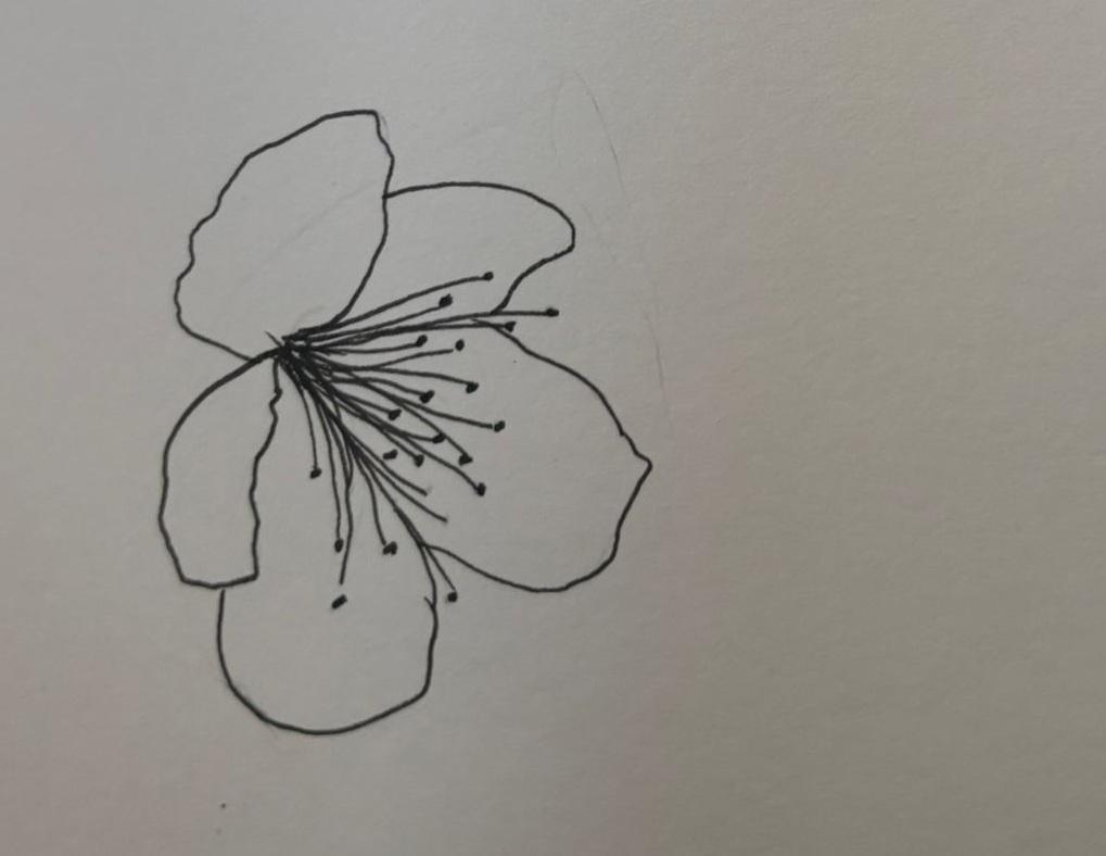 Flowers Theme - image 2 - student project