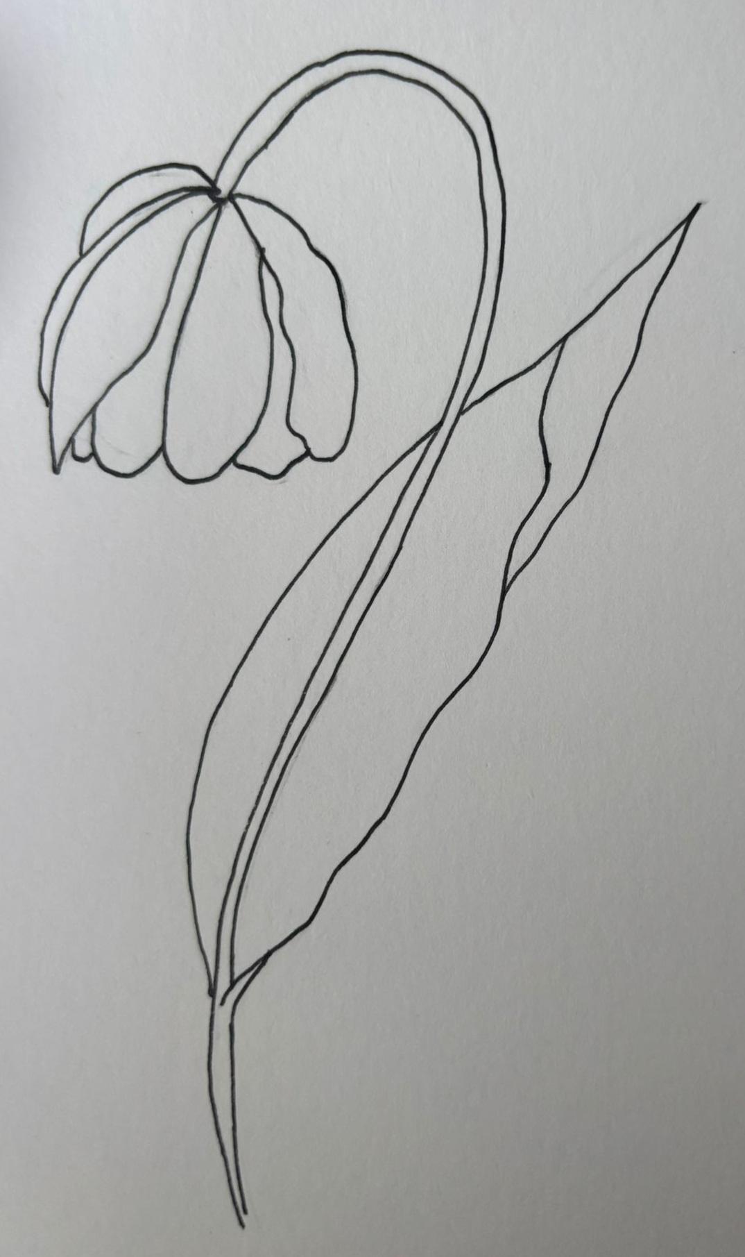 Flowers Theme - image 3 - student project