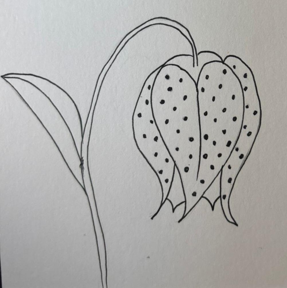 Flowers Theme - image 6 - student project