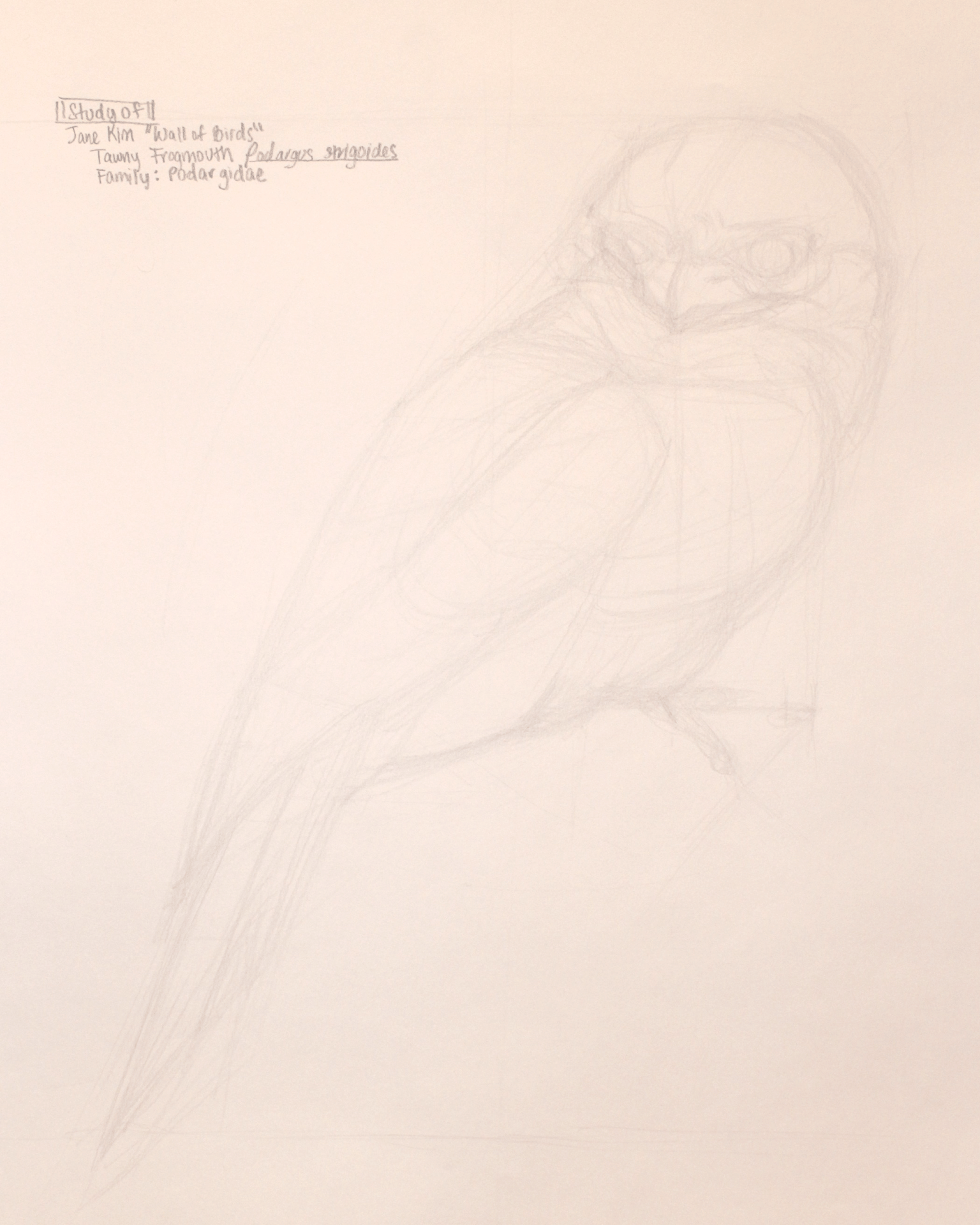 Basic Skills with Brent Eviston (Final Assignment) - image 1 - student project