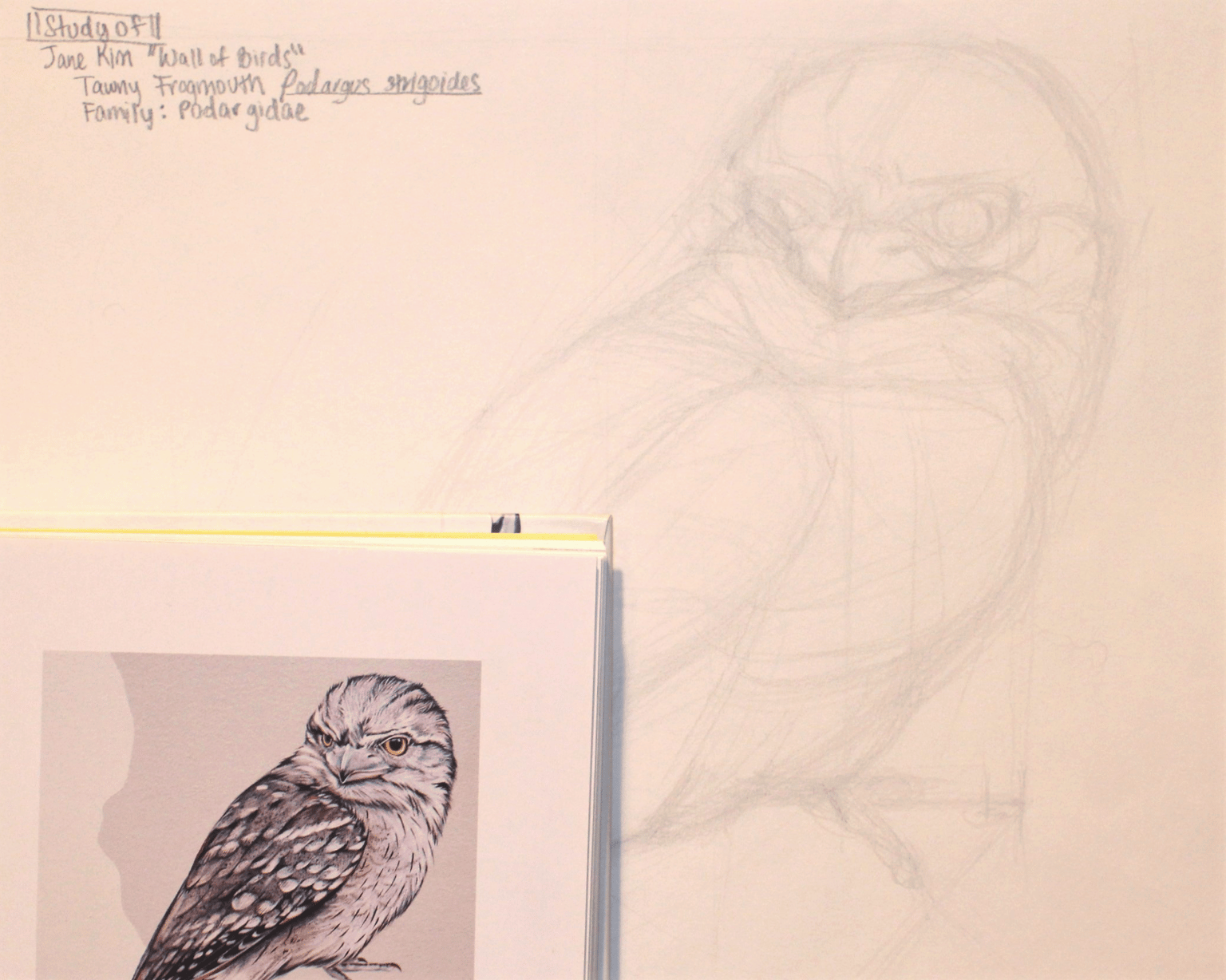 Basic Skills with Brent Eviston (Final Assignment) - image 2 - student project