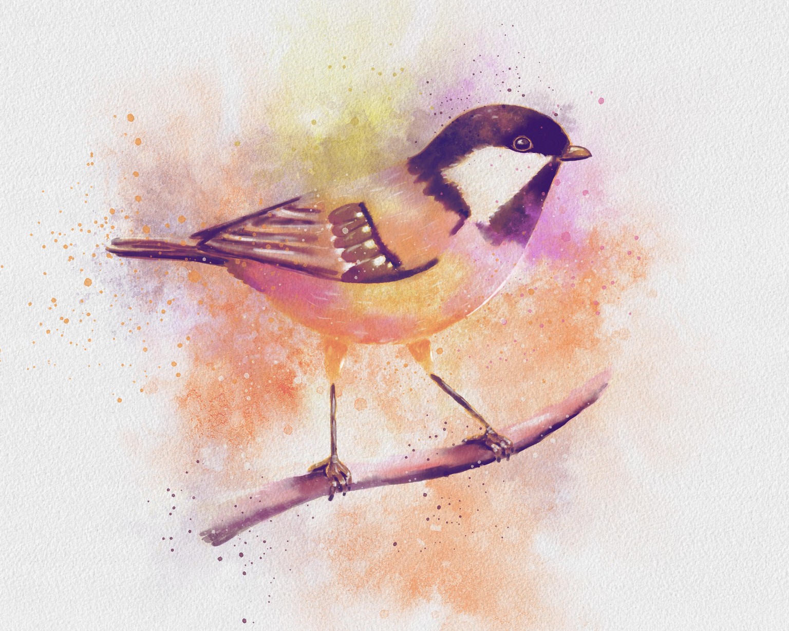 Turtle & Coal Tit - image 2 - student project