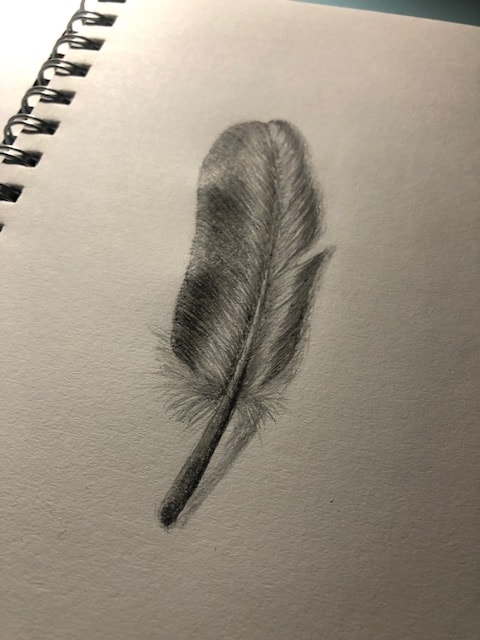 Feather - image 2 - student project