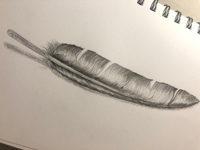 Feather - image 1 - student project