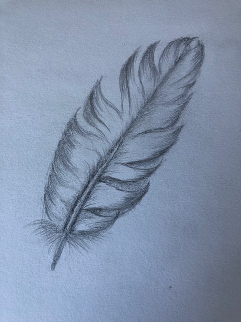 Feather - image 3 - student project