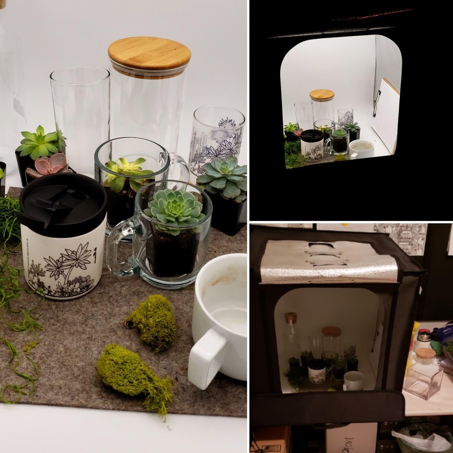 Siteations Studio on Etsy: Niches and Neighborhoods - image 6 - student project