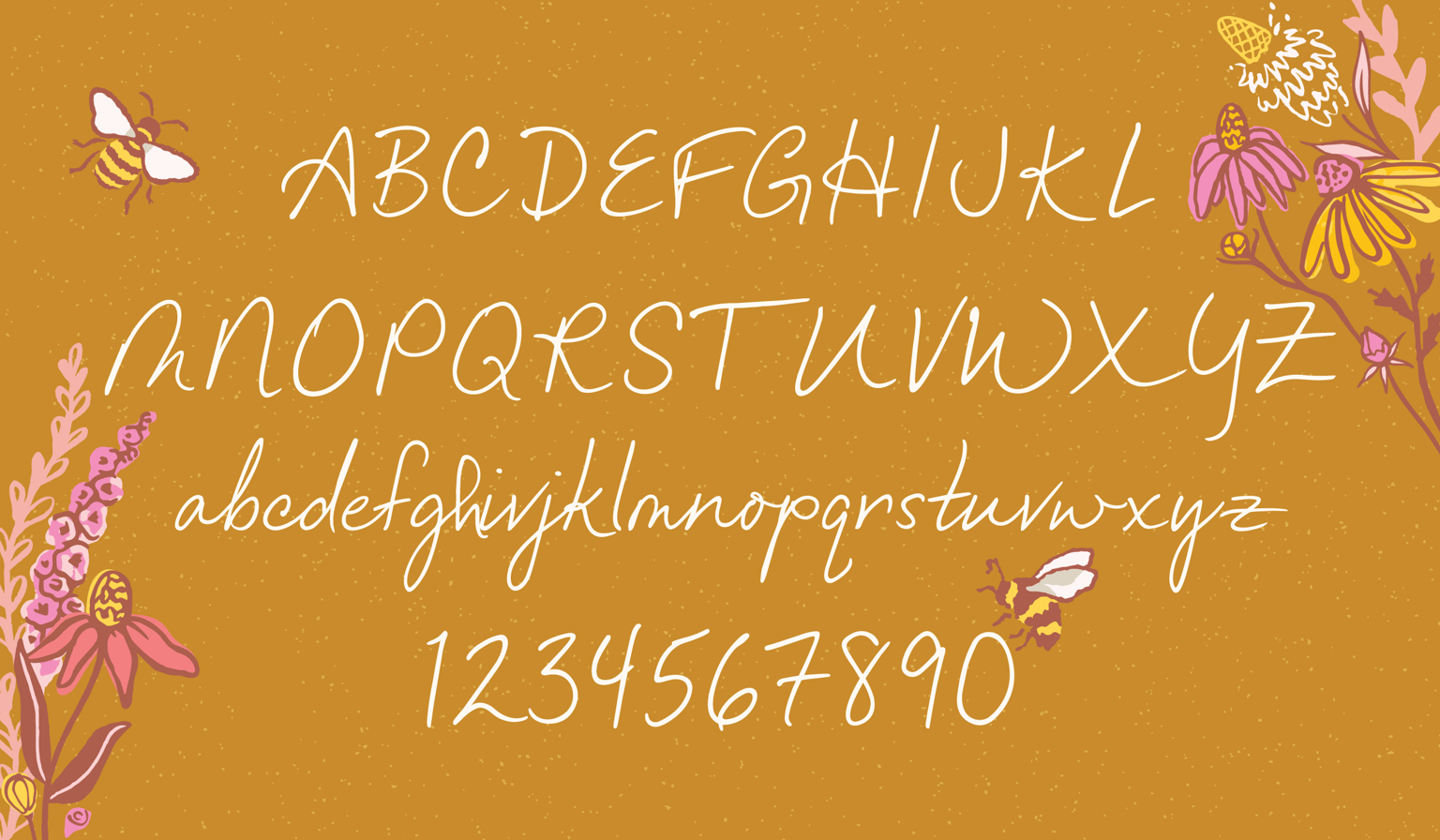 Miss Bee Font Family - image 3 - student project