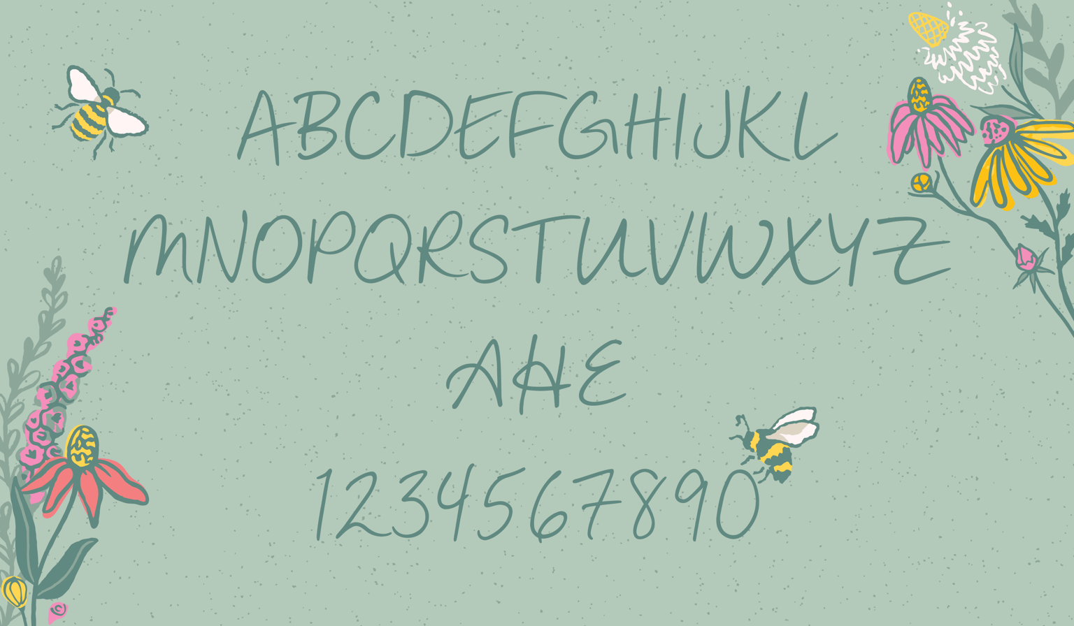 Miss Bee Font Family - image 2 - student project