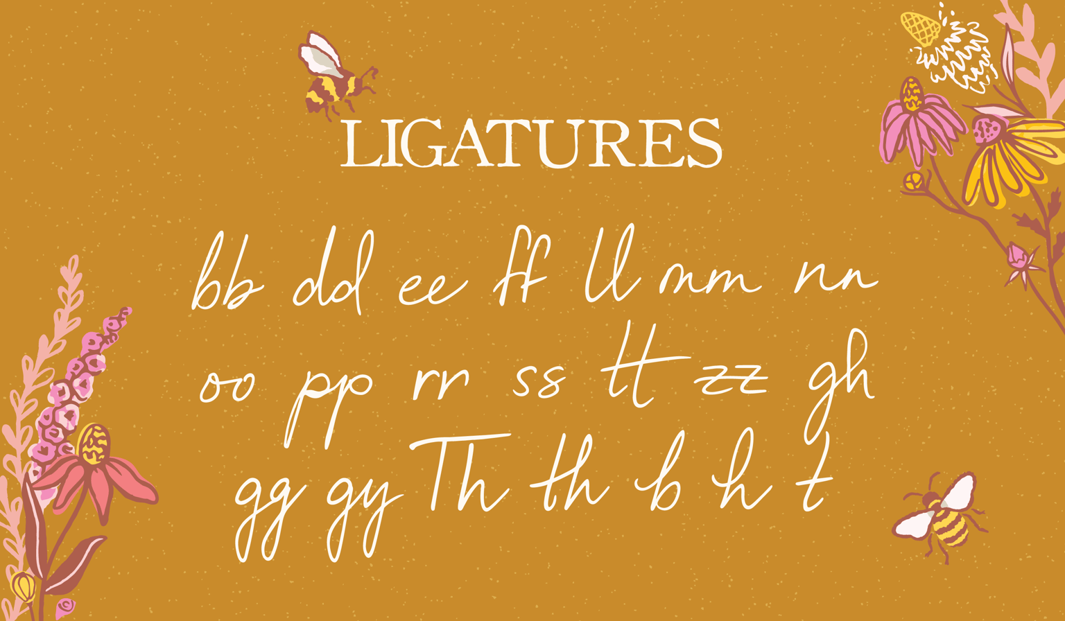 Miss Bee Font Family - image 5 - student project