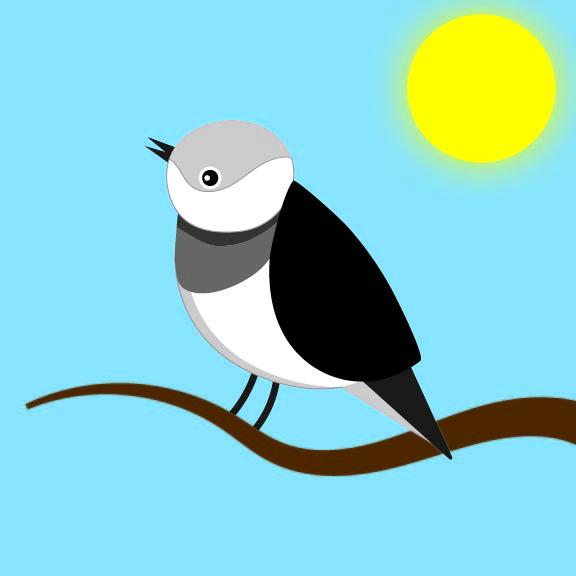Illustrator Essentials - image 1 - student project