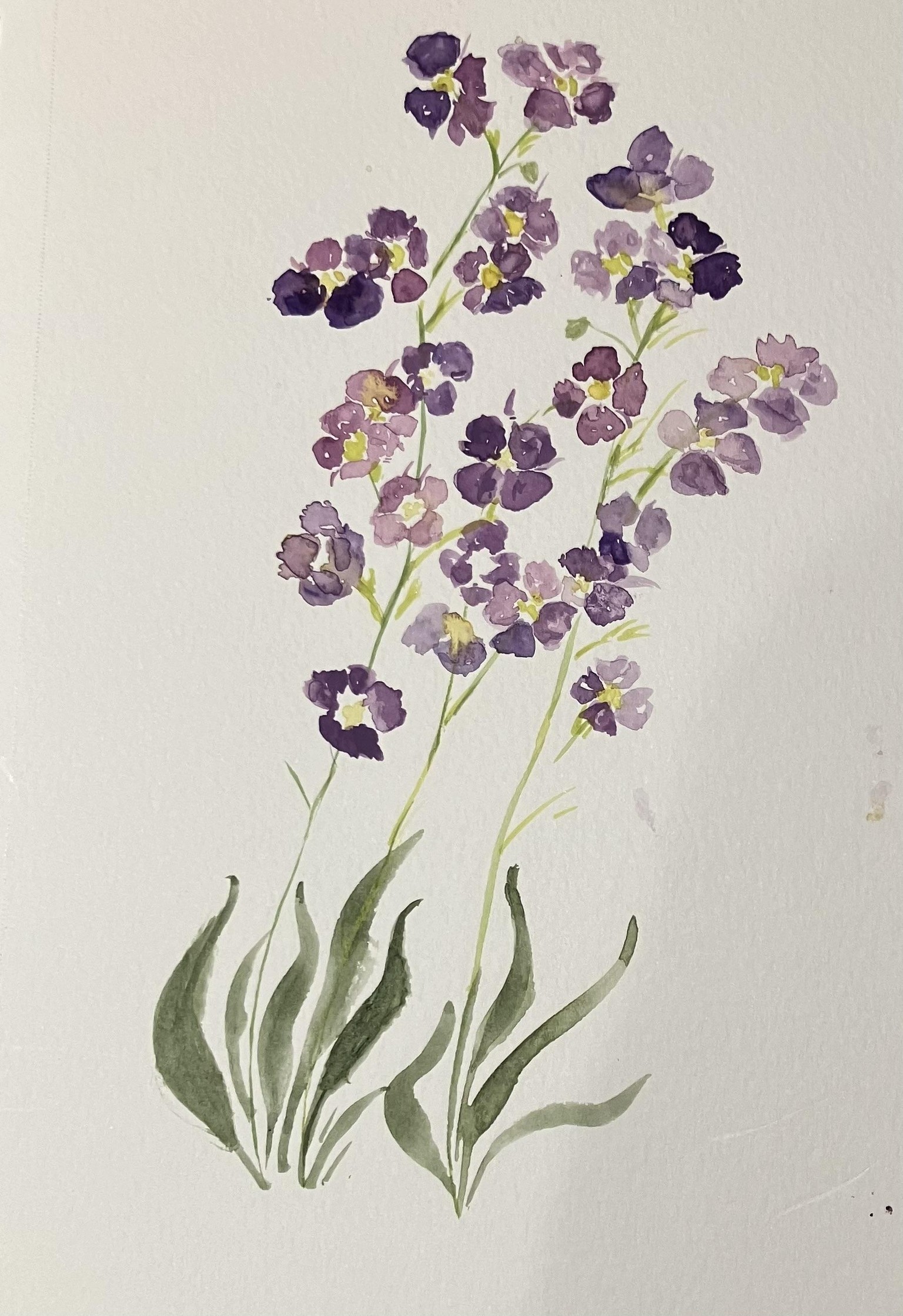 7 day challenge - image 5 - student project