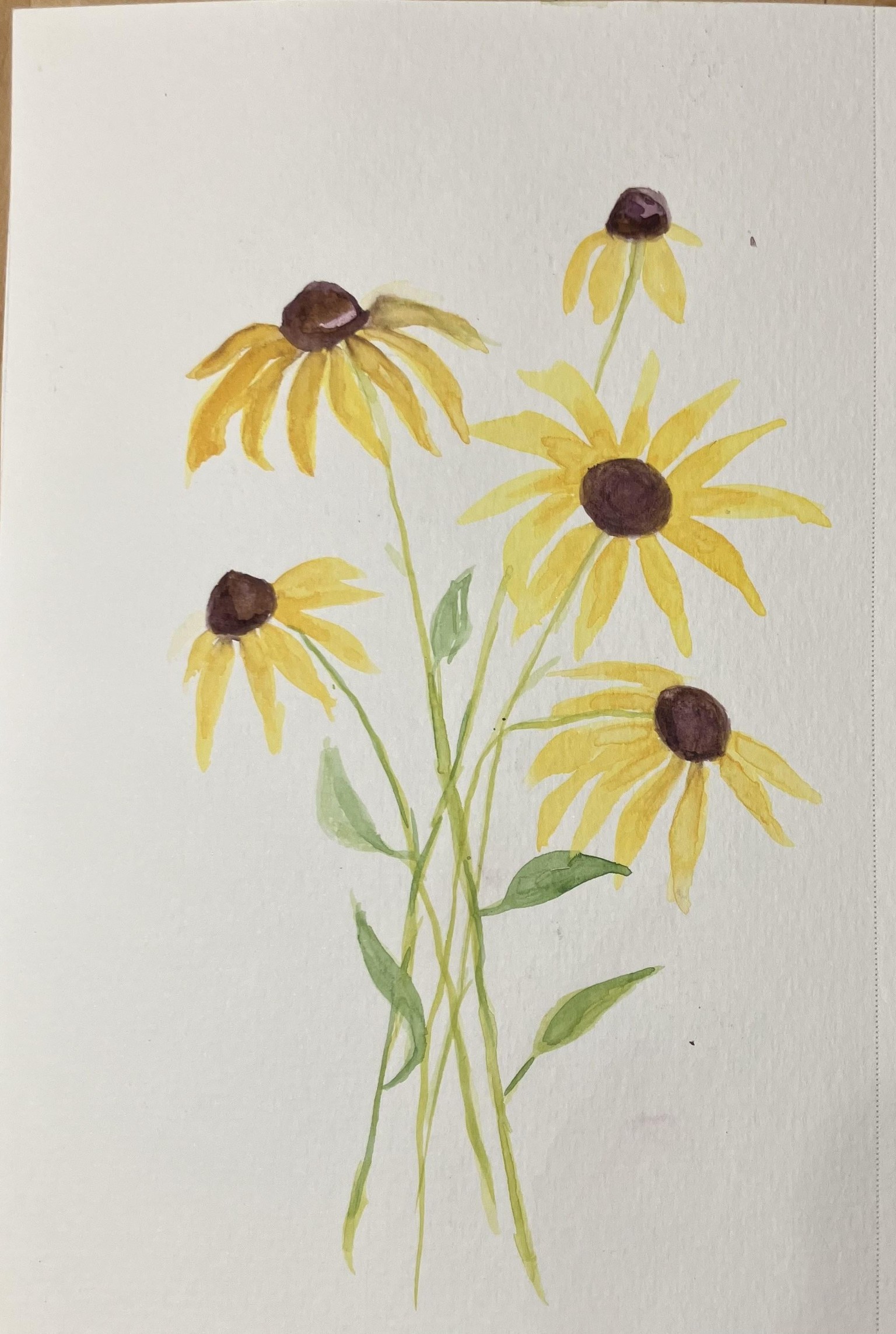 7 day challenge - image 4 - student project