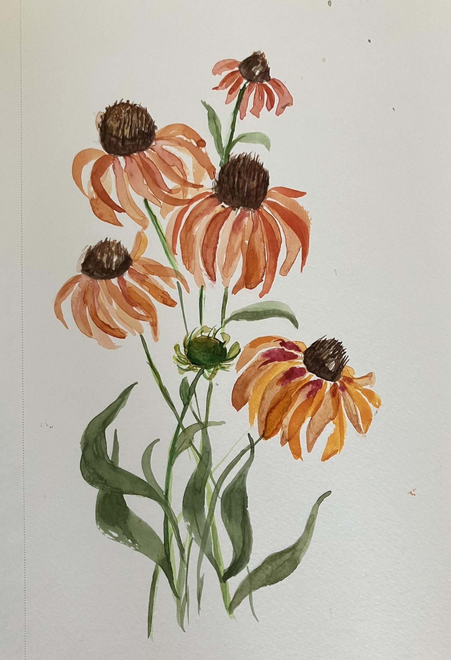 7 day challenge - image 1 - student project