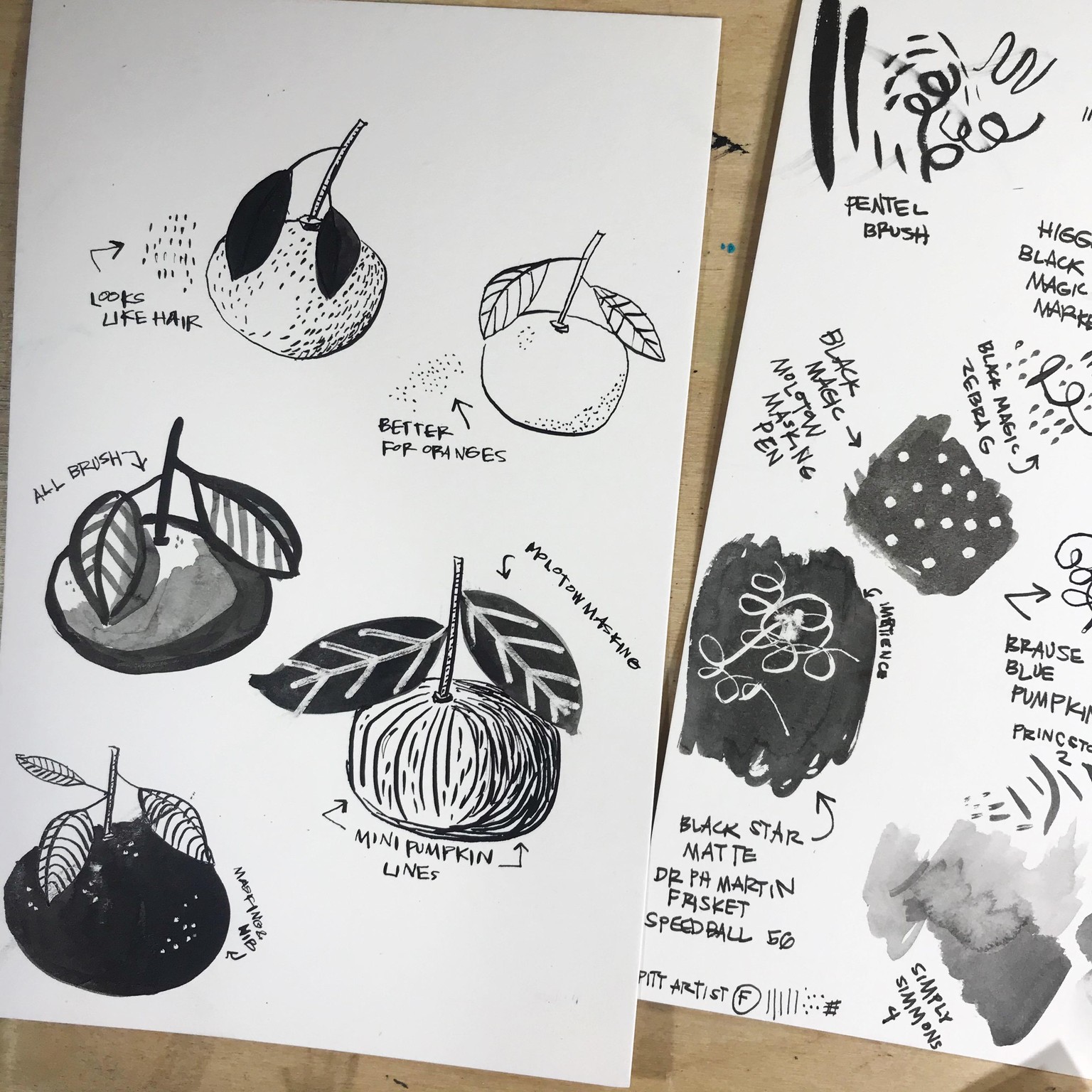 Imaginary Official Seattle Symbols - image 5 - student project