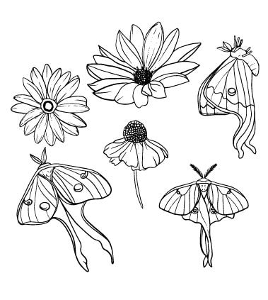 Proyecto final estampado - image 1 - student project
