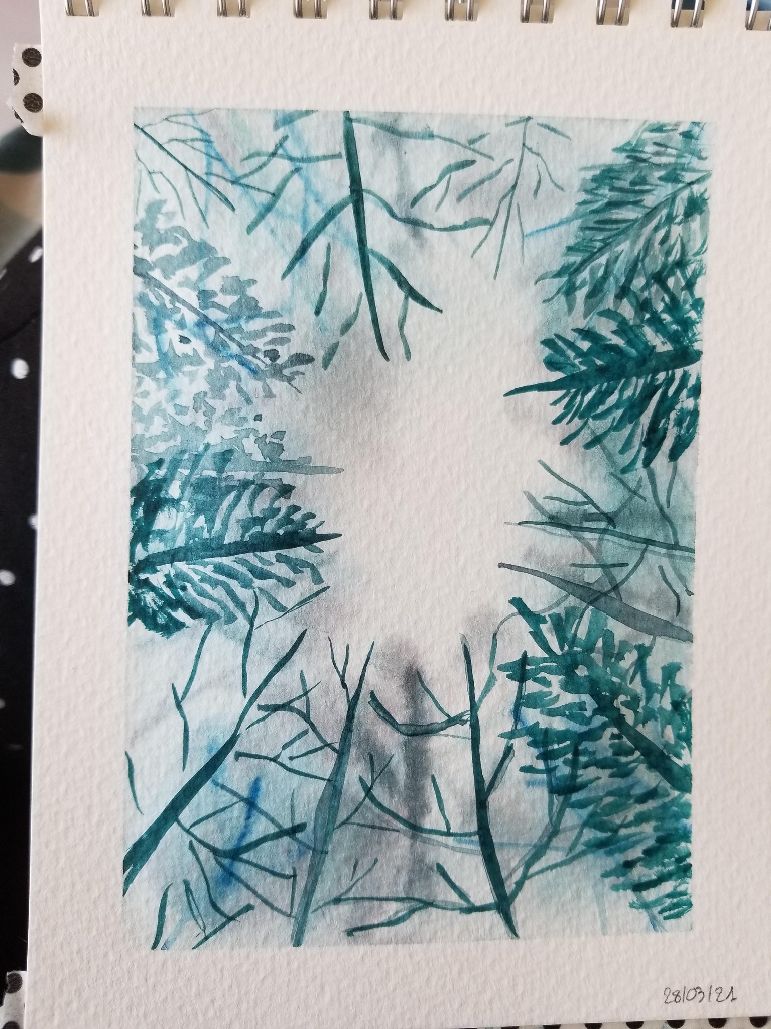 Forest - image 1 - student project