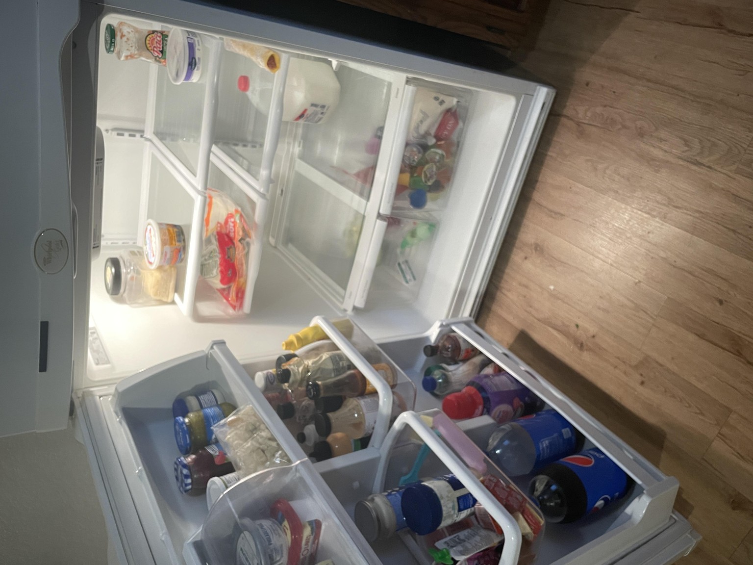 REFRIDGERATOR CLEANOUT - image 1 - student project