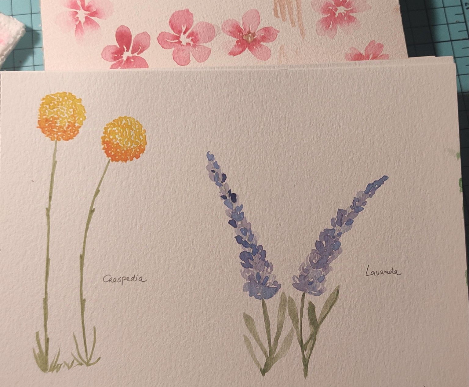 Flores - image 3 - student project