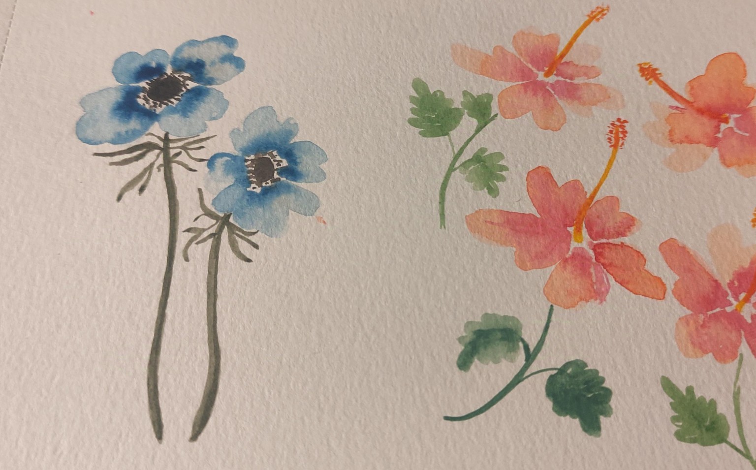 Flores - image 4 - student project