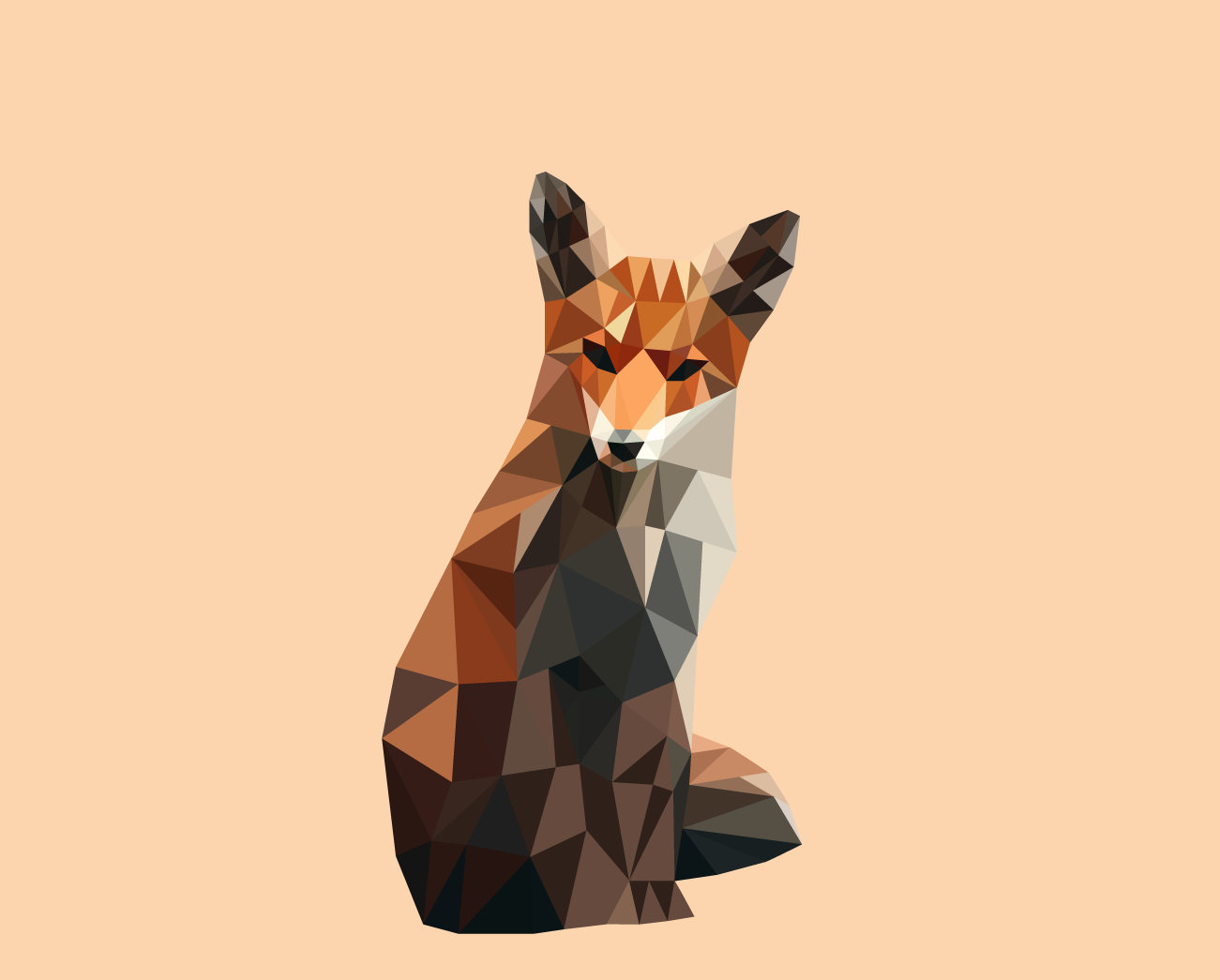 Raposa - image 1 - student project