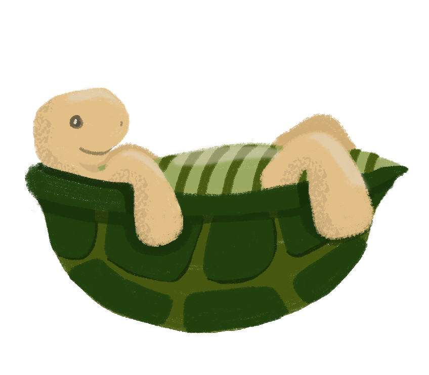 Turtle - image 1 - student project