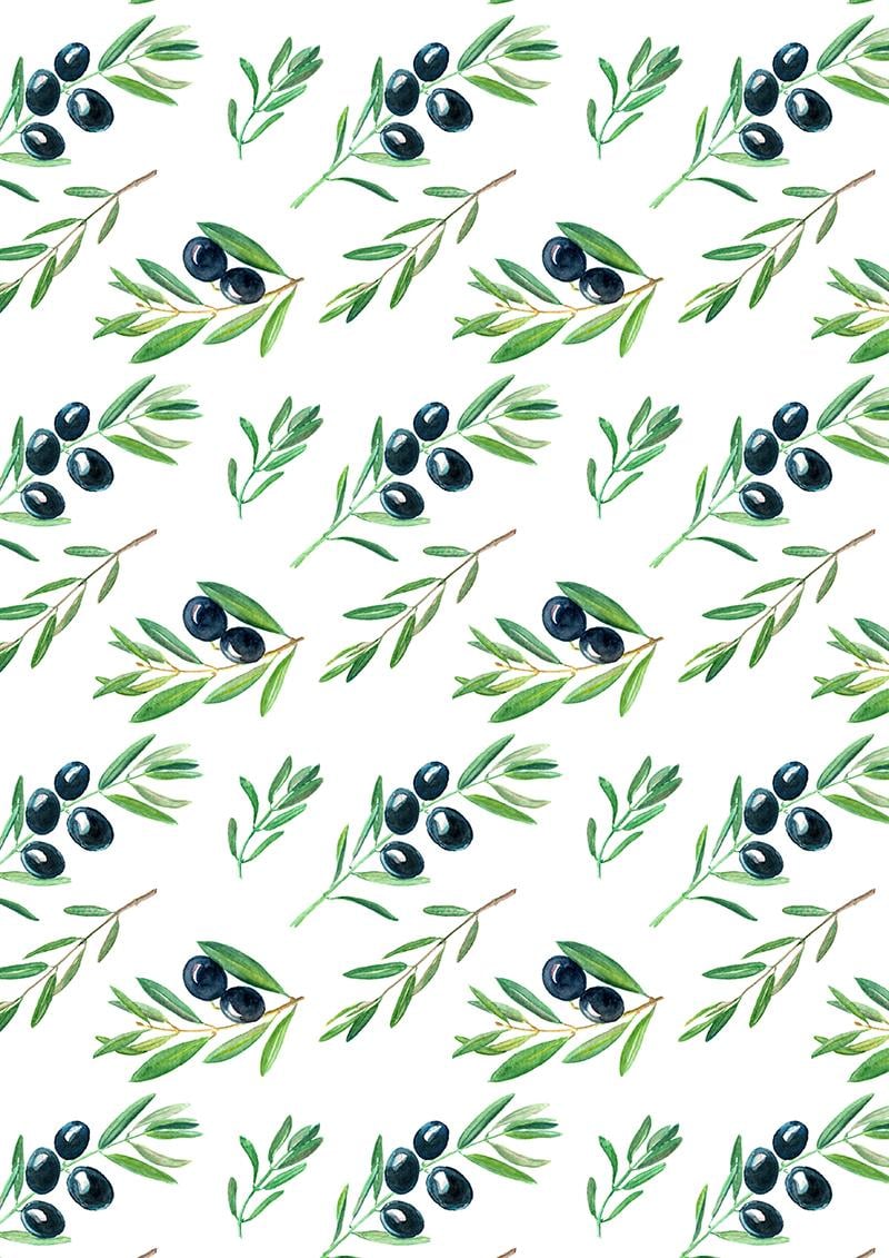Olive Branches - image 3 - student project