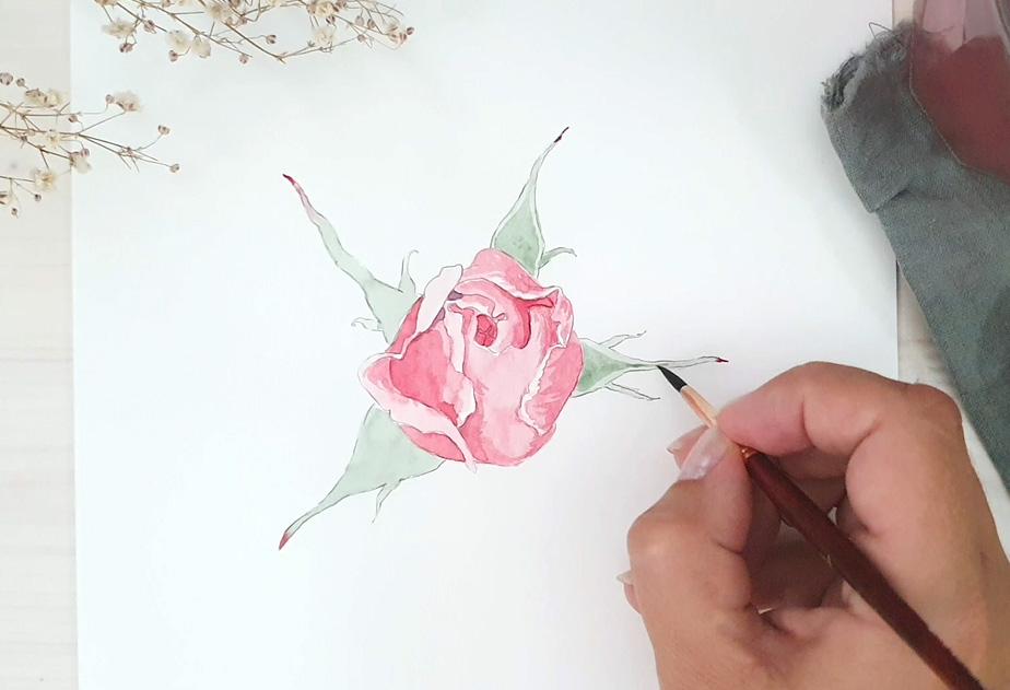Pink Watercolor Rose Bud - image 3 - student project