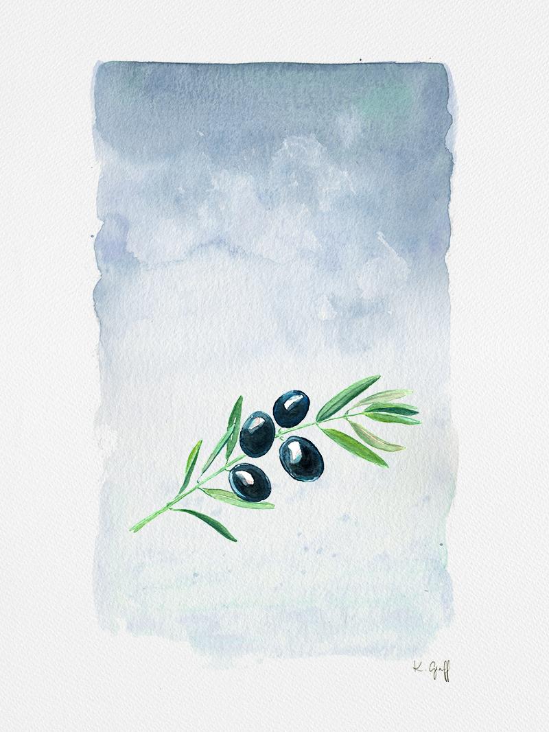 Olive Branches - image 1 - student project