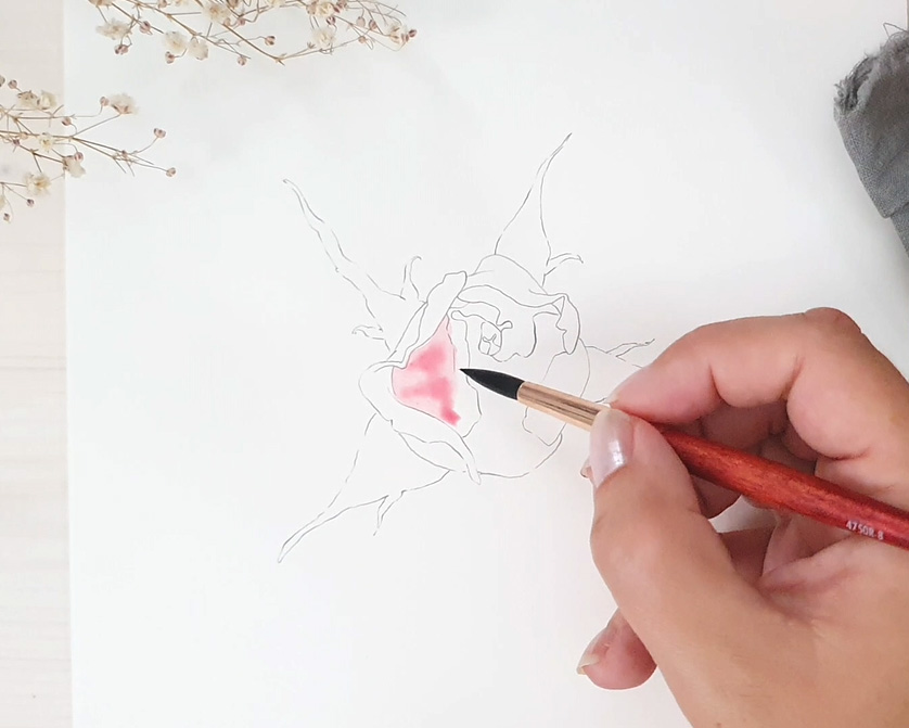 Pink Watercolor Rose Bud - image 2 - student project