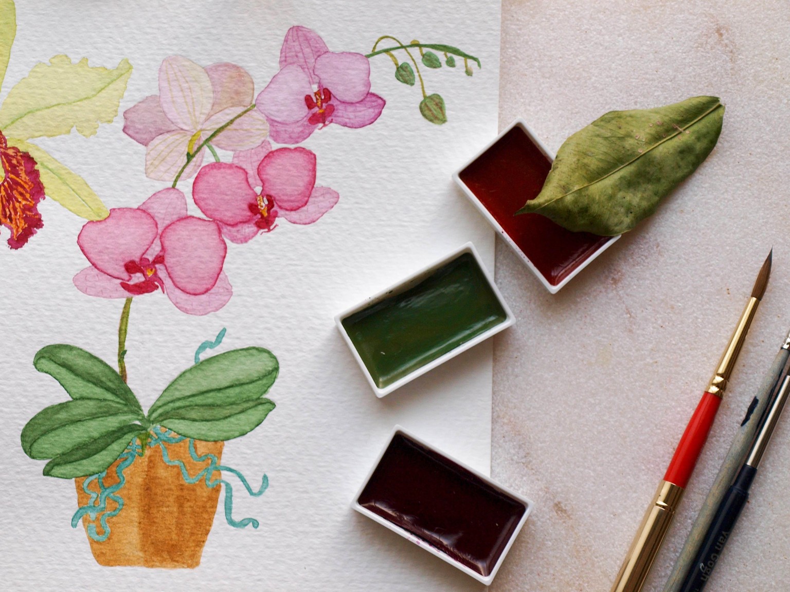 Watercolor Orchids - image 1 - student project